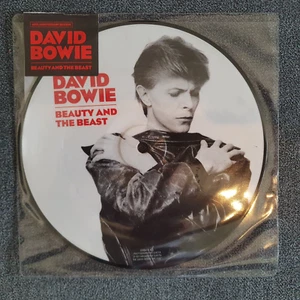 David Bowie -Beauty And The Beast- 7" 45 Limited Edition, Picture Disc - Bild 1 von 2