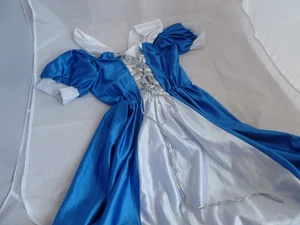 GirlsFancy Dress Renaissance Maiden Costume Adult Medieval Halloween size S 4-6 - Picture 1 of 7