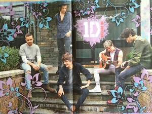 One Direction 1D Poster 42x28cm - Bild 1 von 1