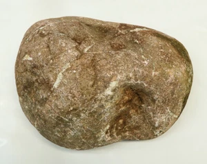 GB WYSIWYG Petrified Wood Plant Aquarium Fish Tank Terrarium Reptile Cichlid - Picture 1 of 1