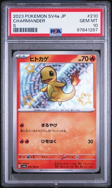 Charmander Pokémon TCG Professional Sports Authenticator Charmander Pokémon TCG Professional Sports Authenticator