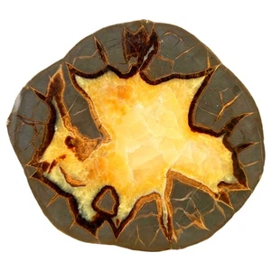 Septarische Knötchenplatte - kräftiges Calcitmuster mit natürlichem Design - Bild 1 von 4