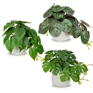 Fake Plants Set of 3 Artificial Plants Faux Pothos with White Ceramic Pots Fa... - Picture 1 of 7