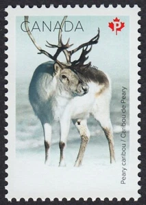 Canada 2021 MNH - SNOW MAMMALS - CARIBOU DEER - Single from Souvenir Sheet - Picture 1 of 1