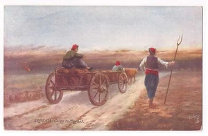 TUCK'S POST CARD OILETTE - VILLAGE LIFE IN ARMENIA GOINT TO MARKET n°7691 - Picture 1 of 1