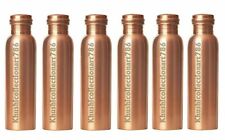 Handmade Pure Copper Smooth Water Bottle Ayurveda Yoga Health Benefits Set Of 6