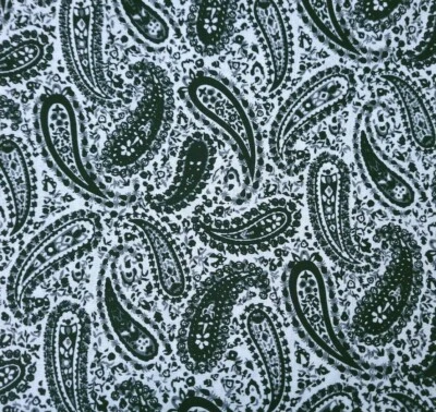 Paisley Floral BTY Sin Marca Negro Gris Sobre Blanco Foto 1 de 2