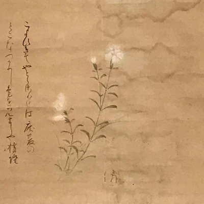 Pergamino colgante japonés de colección poema flor blanca Kakejiku Chagake SC940 Foto 1 de 4