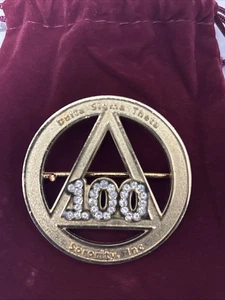 Delta Sigma Theta Vintage 100th Anniversary Pin NEU - Bild 1 von 4