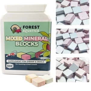 Long-Lasting Mixed Calcium Blocks for Shrimp, Snails, & Aquatic Pets - 50 Count - Picture 1 of 11