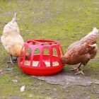 Detachable Chicken Feeding Trough Plastic Chicken Cage Feeder  Home
