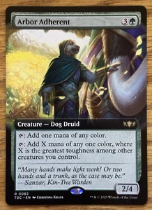 MTG Tarkir Dragonstorm, Arbor Adherent - Borderless - Bild 1 von 1