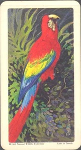 Brooke Bond (USA) - Tropical Birds - 11 - Scarlet Macaw - Picture 1 of 1