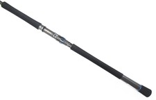 Daiwa Rod Spinning Saltiga GX C76-3 (8430)