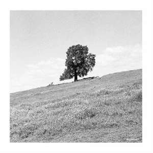 Blank Gloss Cornered (Vinyl) 12" Album (US IMPORT) - Picture 1 of 1