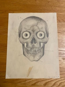 Human Skull with Eyes Original Pencil Drawing Grim Reaper Halloween Scary Signed - Picture 1 of 6