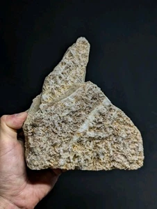 Großer Faden Quarz Kristall Cluster, Old Stock, Montgomery County, Arkansas, Eiche - Bild 1 von 22