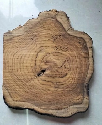 live edge slice of indian teak wood burl wood with high grains for casting craft - Image 1 of 4