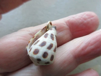 ANTIQUE VINTAGE OLD GOLD TONE SMALL CONCH SHELL FOB CHARM PENDANT BRACELET CUTE - Image 1 of 3