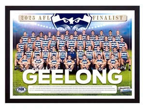Framed 2025 Geelong Cats AFL Finals Football Poster - 84cm x 59.5cm x 3.5cm - Foto 1 di 3