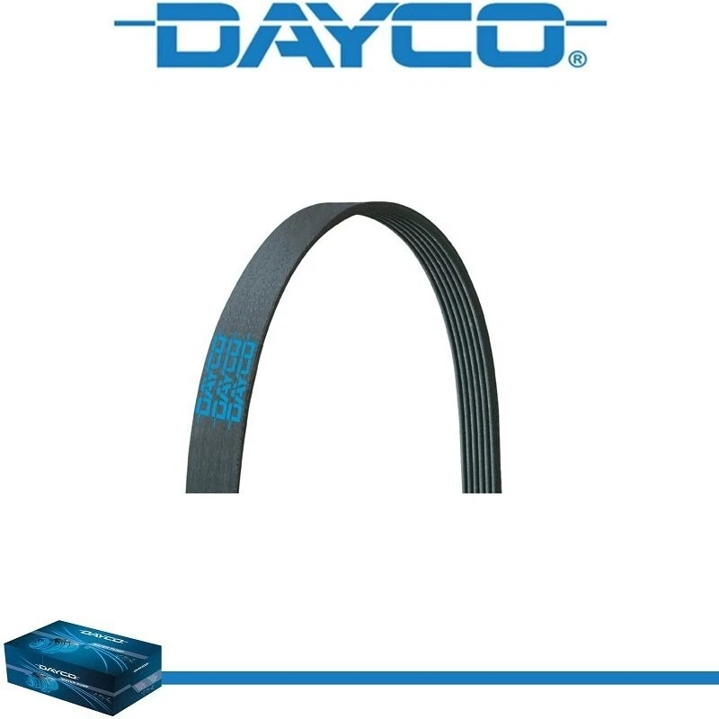Cinturón serpentino Dayco Poly Rib para VOLVO V50 2005-2010 L5-2,4 L Foto 1 de 4