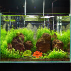 Add a Pop of Color to Your Aquarium with 4 Artificial Coral Plants