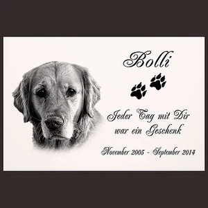 GRABPLATTE Grabmal Grabschmuck Tier Grabstein Hund-p11 ► Fotogravur ◄ 30 x 20 cm - Bild 1 von 2