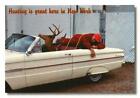 Postcard NY Humor "Hunting is Great Here in NY" Deer & Ford Falcon Convertible