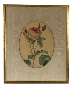 Beautiful Antique Redoute's Rose Print in Oval Frame 18.5 x 15.5" - Picture 1 of 3