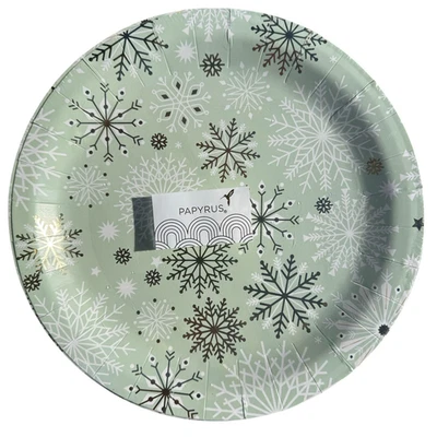 PAPYRUS Winter Sage Snowflake 48 Dinner Plates 10" Paper Disposable Plastic Coat - Image 1 of 4