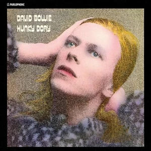 DAVID BOWIE Hunky Dory HUGE 4X4 Ft Fabric Tapestry Banner Poster Art New - Picture 1 of 3