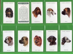 Juego de tarjetas de cigarrillos de tabaco cabezas de perros, caniche, airedale terrier, corgi, boxeador, - Imagen 1 de 5