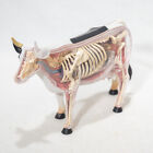 4D Master 3D Cow Anatomy Model Puzzle 2007 Fame Master - Good Condition!
