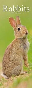Rabbits Slim 2026 Calendar | Slimline Gift 15% OFF MULTI ORDERS - Picture 1 of 8