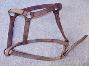 Vintage Horse Tack Bridle Harness rustic - Picture 1 of 7