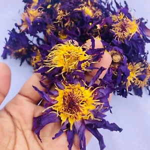 1kg Organic Blue Lotus Flower Nymphaea Caerulea Dried Flower Herbal Tea Package - Picture 1 of 12