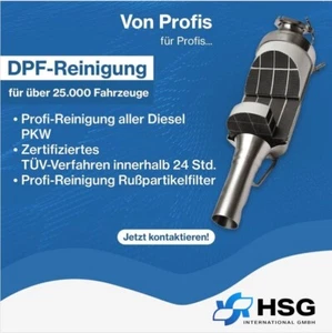 Original Dieselpartikelfilter DPF 173893 für Citroen C-Crosser Peugeot 4007 - Bild 1 von 6