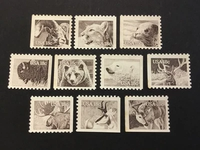 old stamps  USA  x  10  WILDLIFE   1981  Mint - Image 1 of 2