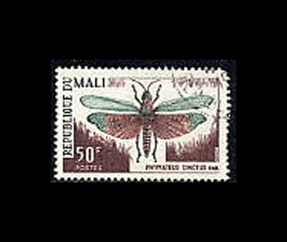 Malí, Sc #101, USADO, 1967, insectos, Phymateus cinctus Foto 1 de 1