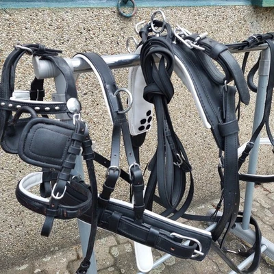 Top  Einspänner Leder Brustblatt Geschirr Mini Shetty  schwarz/weiß quick out  - Bild 1 von 4