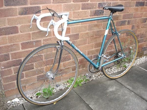VINTAGE CARLTON GENTS BIKE REYNOLDS 501 24.5 inch 62cm - Picture 1 of 12