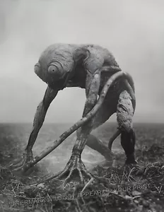 Dover Demon 1977 Foto Alien-ähnliche Kreatur Kryptis Mythologie Folklore 8,5X11 - Bild 1 von 2