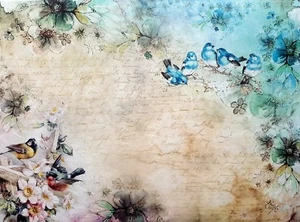 Rice Paper for Decoupage, Scrapbooking, Sheet Craft Vintage Singing Birds 1 - Picture 1 of 1