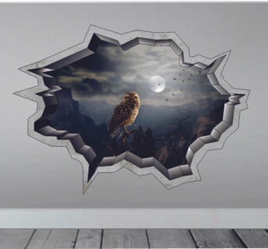 MOTORHOME VINYL GRAPHIC STICKER DECALCAMPER VAN RV HORSEBOX FULL MOON 90 X 70CM - Picture 1 of 1