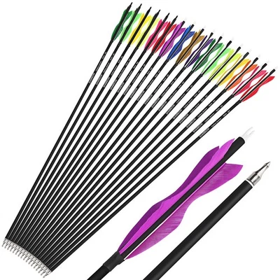 30" Archery Carbon Arrows SP500 Screw Tips Points Natural Feather Bow Shoot Hunt - Image 1 of 4