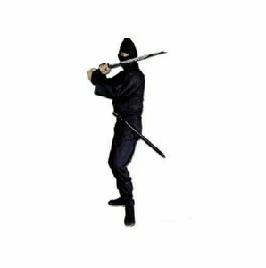 Ninja Karate Halloween Costume Outfit with Mask Hood Youth Kids Adults Black - Bild 1 von 1