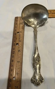 1 Vtg Grape Motif Ladle 1847 Rogers Bros Silver-plate Flatware Serving Spoon. - Picture 1 of 9