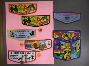 Boy Scout OA 226 Chemokemon flaps 7343NN - Picture 1 of 1