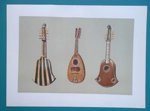 MUSICAL INSTRUMENTS Italian Quinterna & Mandolin - 1888 COLOR Litho Print - Picture 1 of 1