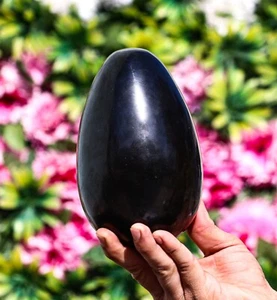 16 cm Natural Negro Turmalina Espíritu Metafísico Chakra Piedra Curativa Huevo - Imagen 1 de 10